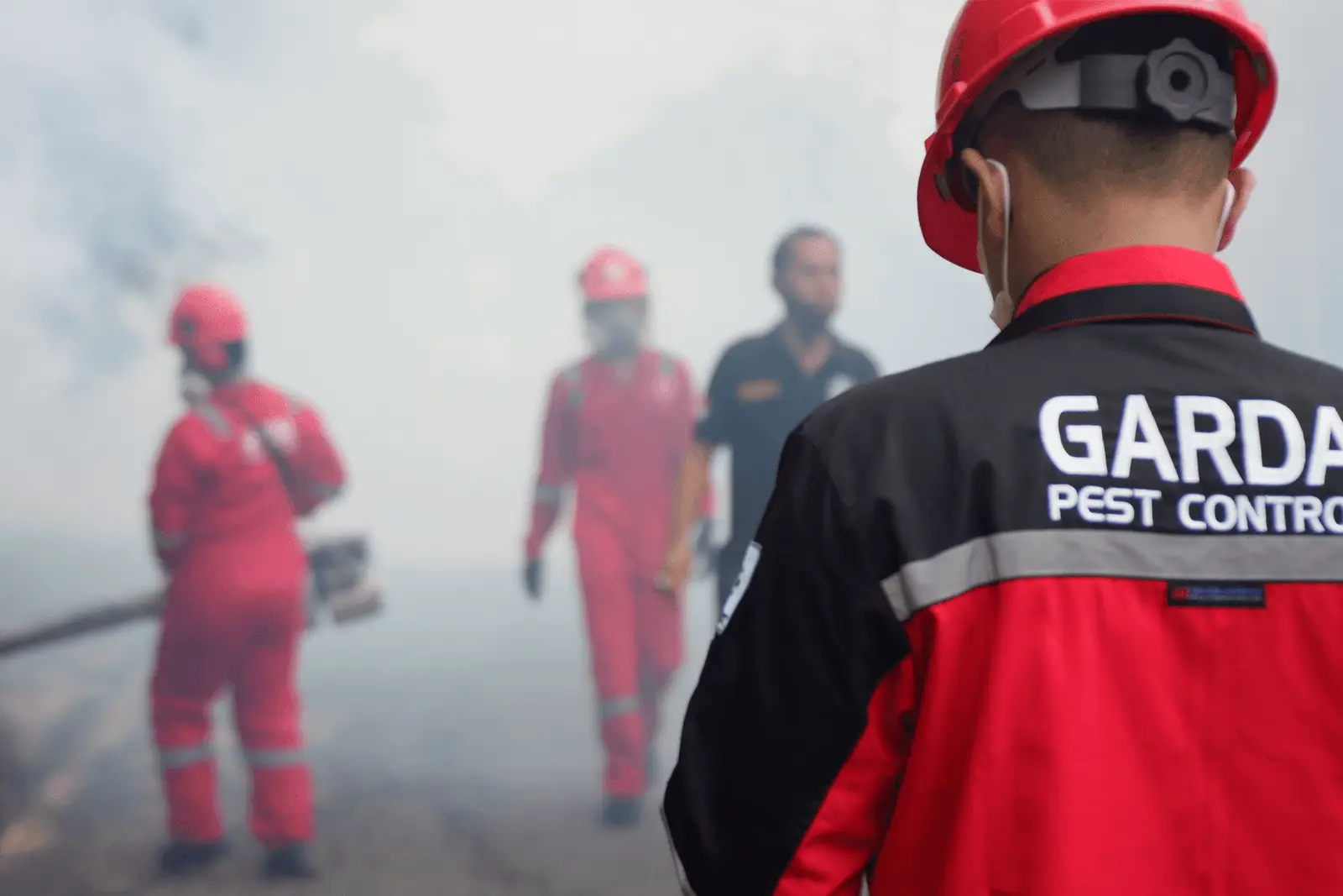 Jasa Fogging Nyamuk di Sidoarjo Ahli Basmi Nyamuk DBD