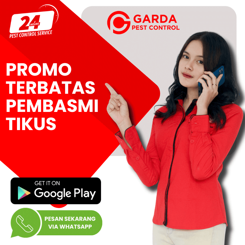 Jasa Pembasmi Tikus Majalengka