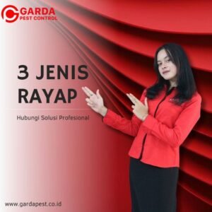 3 Jenis Rayap Yang Ada di Indonesia