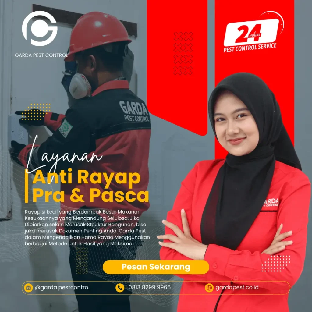 Anti Rayap Bali Profesional Dan Berkualitas