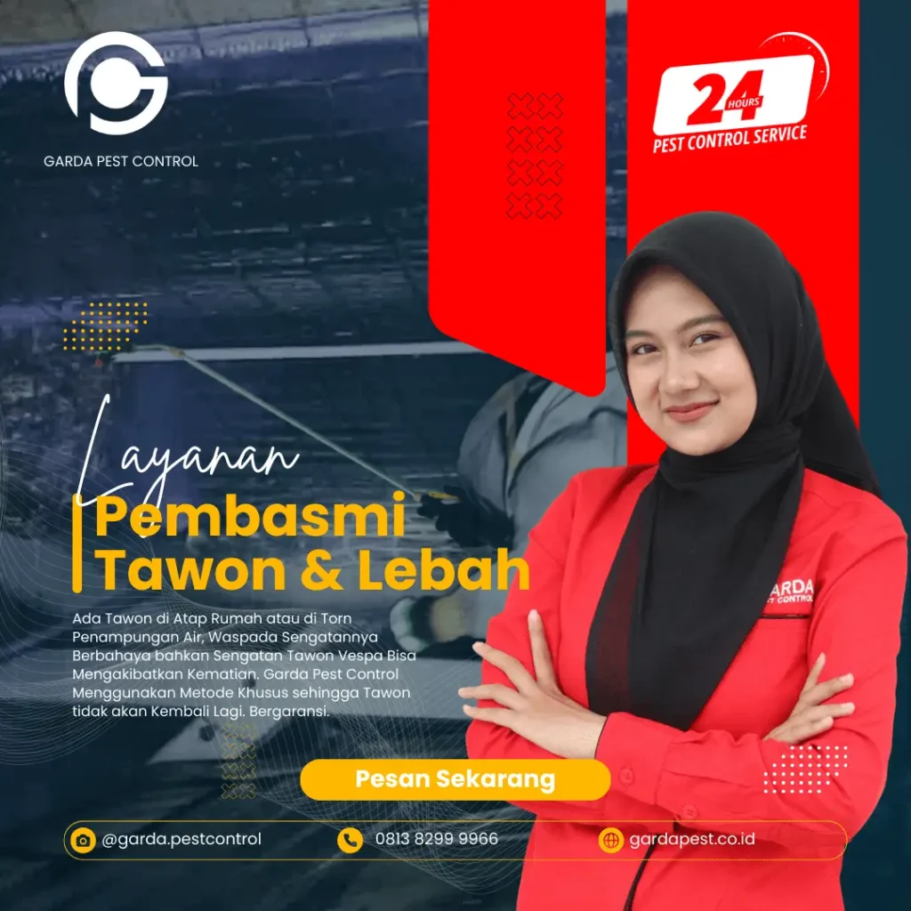 Jasa Pembasmi Tawon di Malang 24 Jam Layanan
