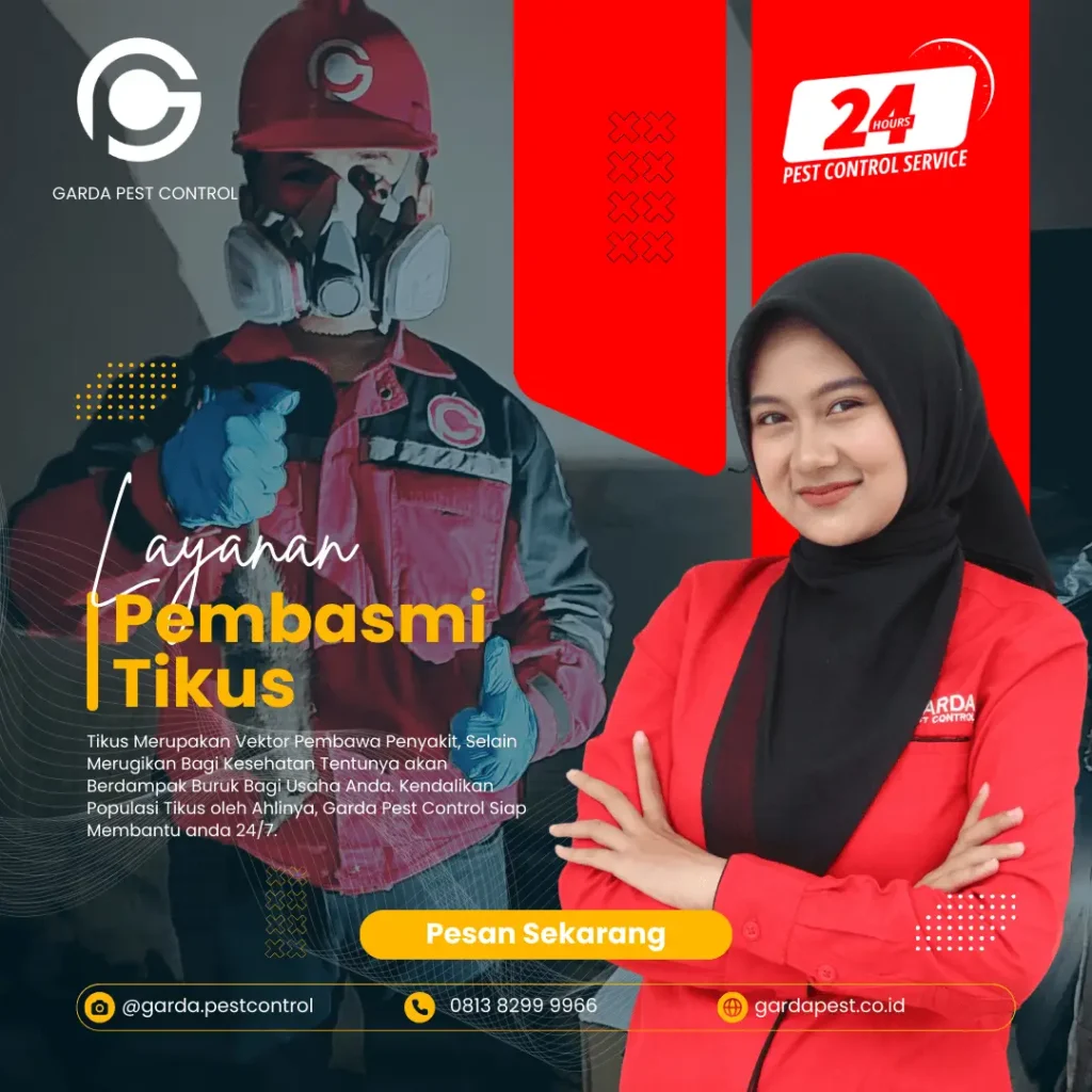 Jasa Pembasmi Tikus Terdekat Pelabuhan Ratu Termurah