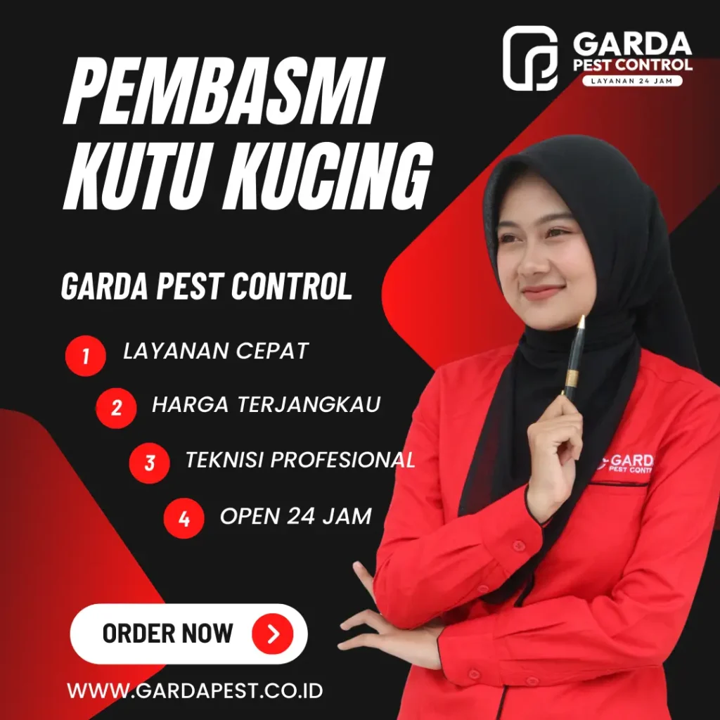 Jasa Pembasmi Kutu Kucing Pelabuhanratu Berkualitas