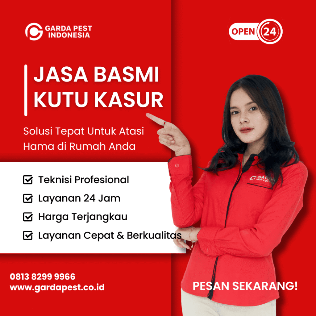 Jasa Pembasmi Kutu Kasur Malang Tuntas Bergaransi