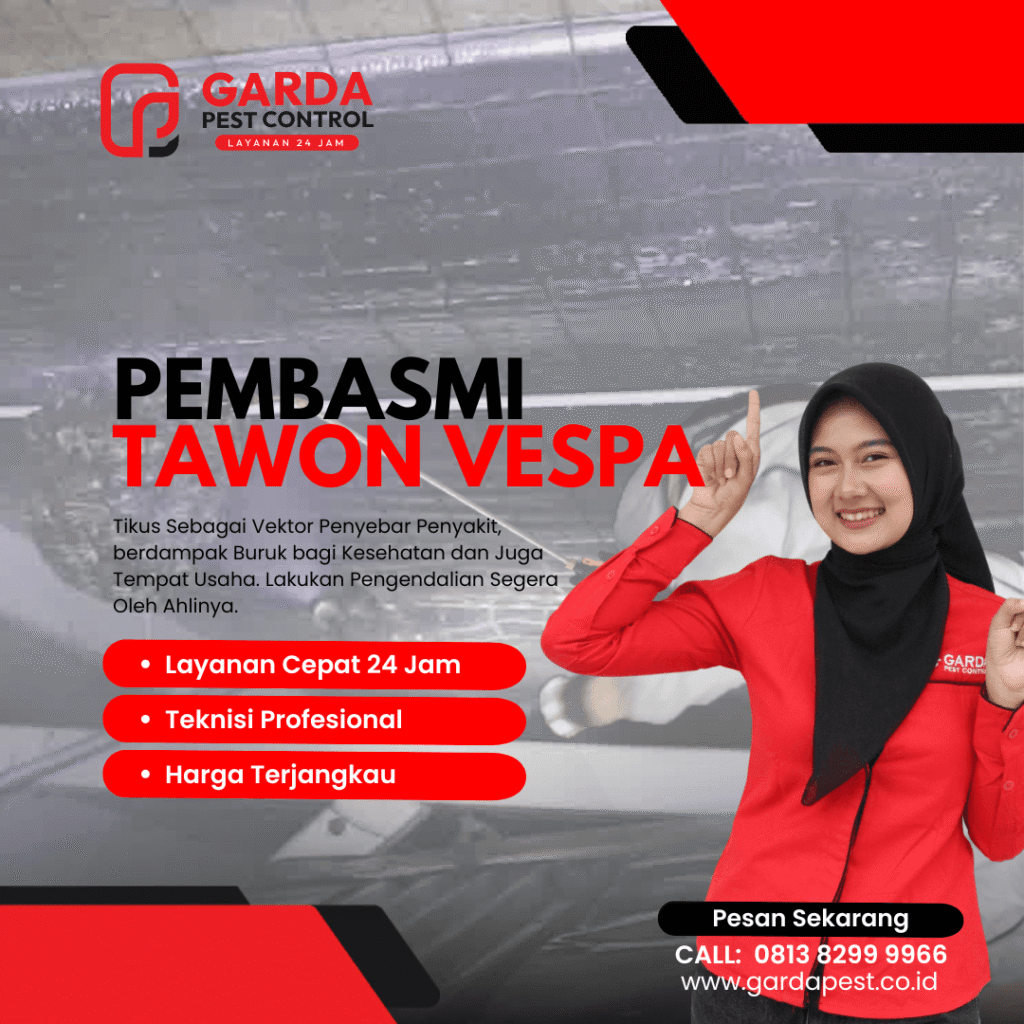 Jasa Pembasmi Tawon Pelabuhanratu Cepat 24 Jam