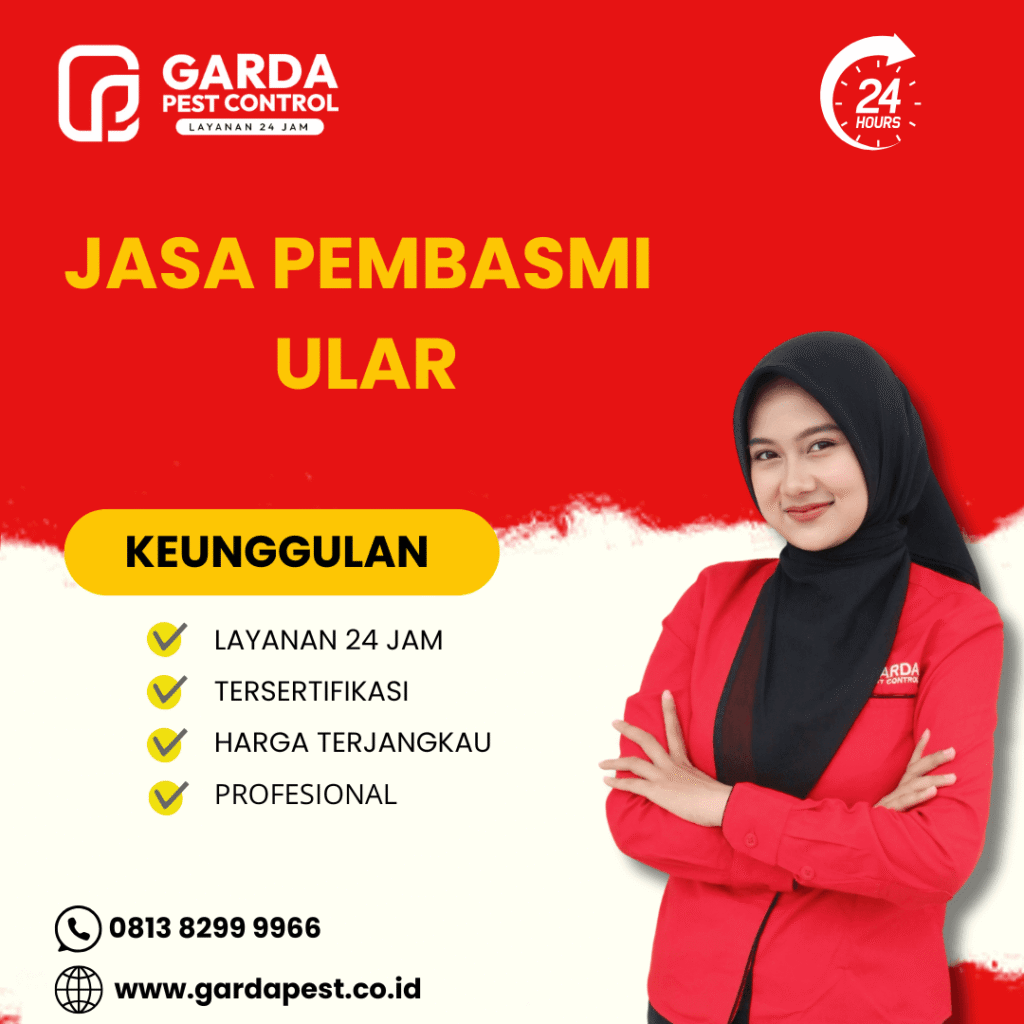 Jasa Pembasmi Ular Malang Biaya Terjangkau