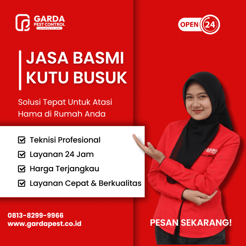 Jasa Pembasmi Kutu Busuk Jember Murah Bergaransi