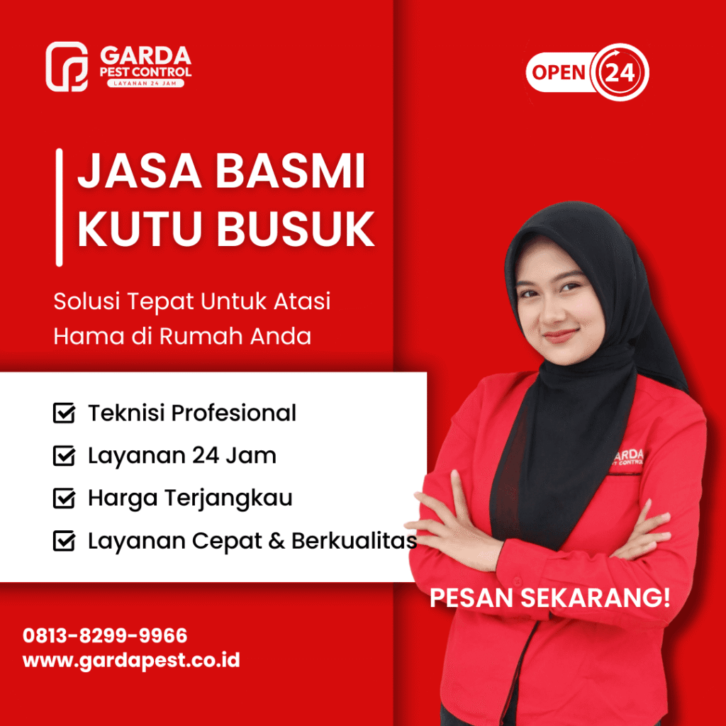 Jasa Pembasmi Kutu Busuk Jember Murah Bergaransi