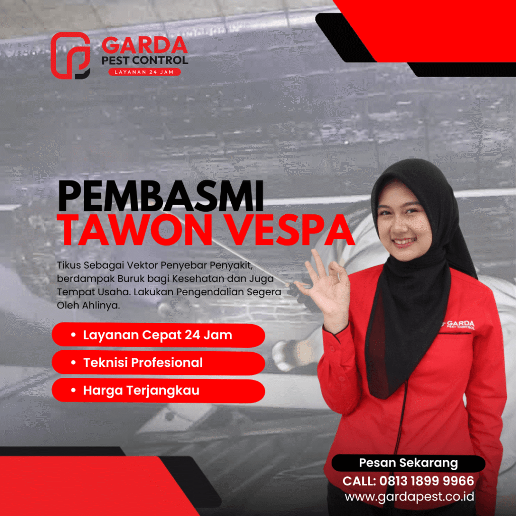 Jasa Pembasmi Tawon di Pekalongan Profesional Berpengalaman
