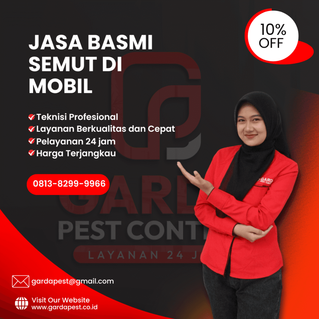 Jasa Pembasmi Semut di Mobil Bergaransi 3 Bulan