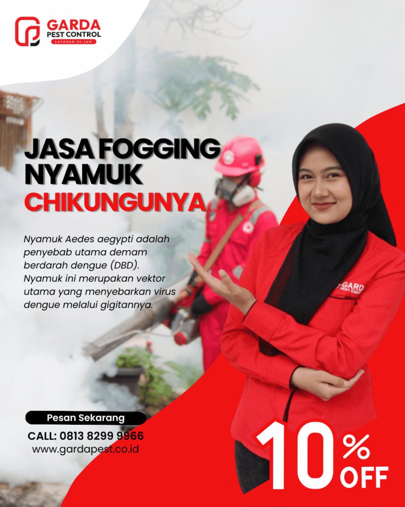 Perusahaan Jasa Fogging Nyamuk Chikungunya di Bandung