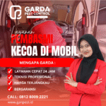 Jasa Pembasmi Kecoa Mobil Terdekat