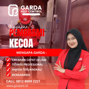 Bahaya Kecoa Bagi Kesehatan Keluarga di Rumah