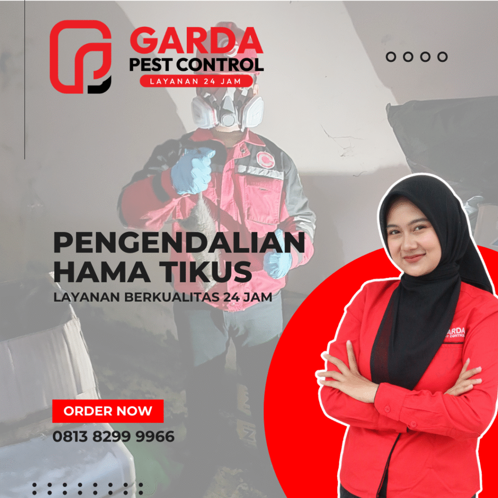 Jasa Pengusir dan Pembasmi Tikus Profesional