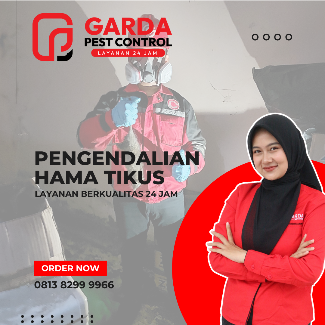 Jasa Pengusir dan Pembasmi Tikus Profesional