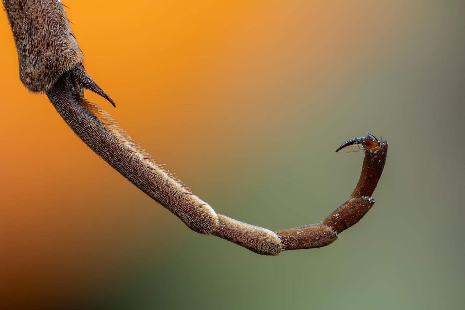 Rahasia Menghilangkan Rayap di Medan dengan Jasa Anti Rayap Terpercaya dan Berpengalaman