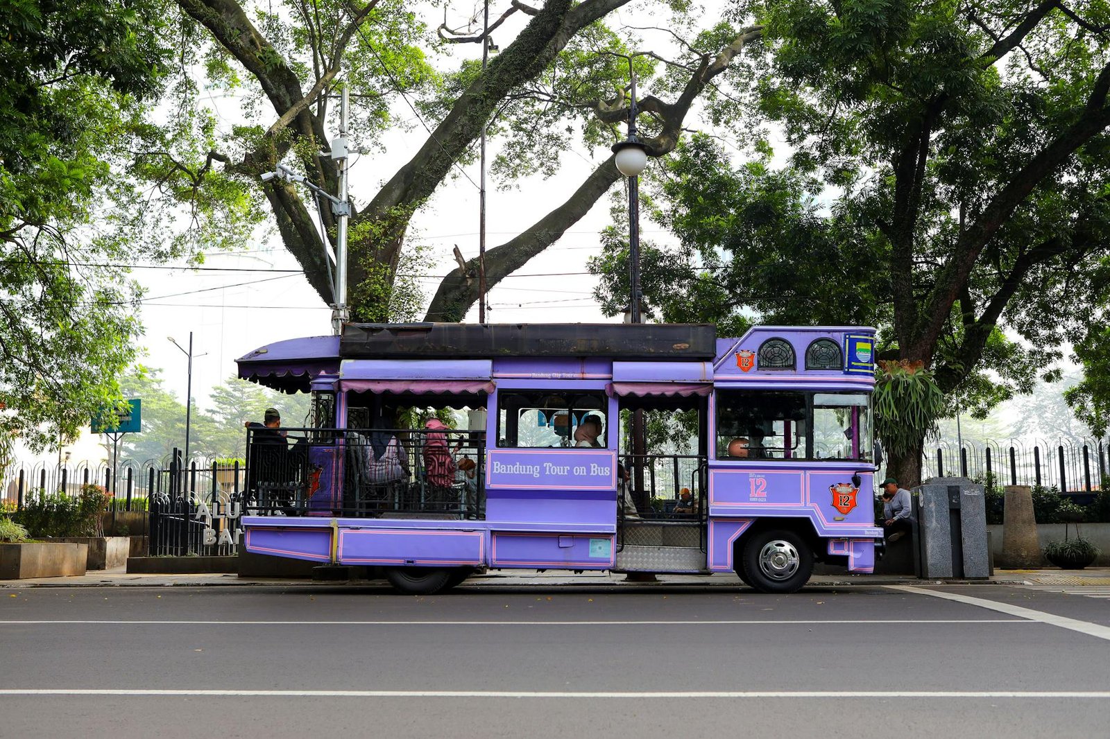 Penyakit Rayap di Bandung Bisa Dihapuskan dalam 1 Hari dengan Jasa Ini