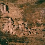 jasa anti rayap jember